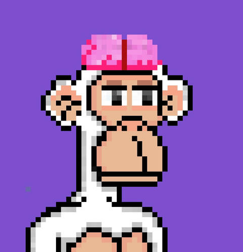 Faucibus nisl tincidunt